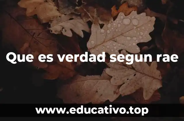 Que es verdad segun rae