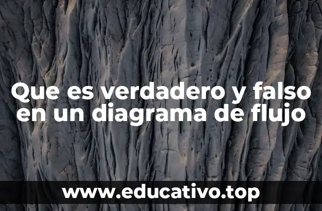Que es verdadero y falso en un diagrama de flujo