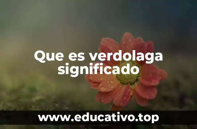 Que es verdolaga significado