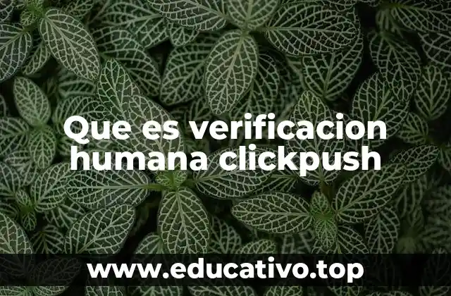 Que es verificacion humana clickpush