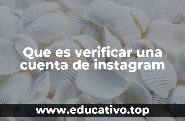 Que es verificar una cuenta de instagram