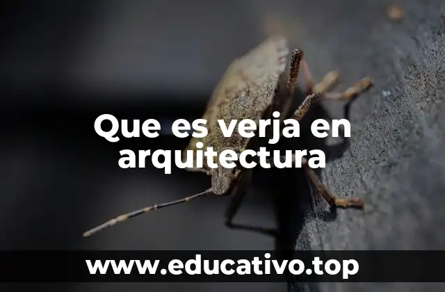 Que es verja en arquitectura