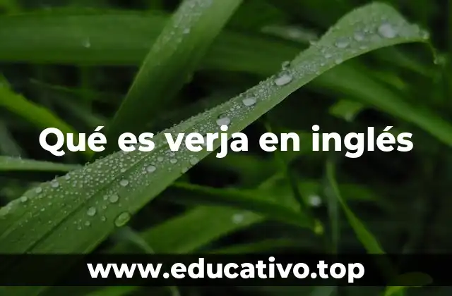 Cómo describir una verja en inglés sin mencionar la palabra clave