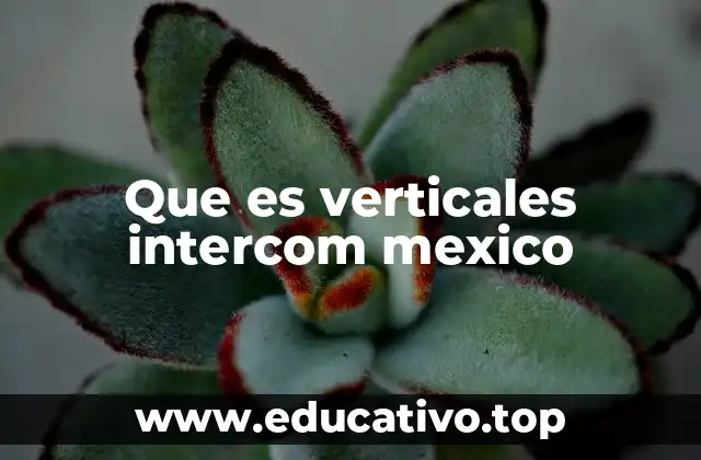 Que es verticales intercom mexico