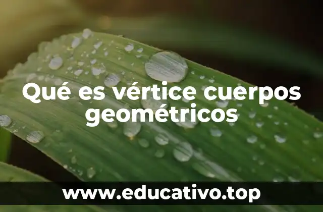 Qué es vértice cuerpos geométricos