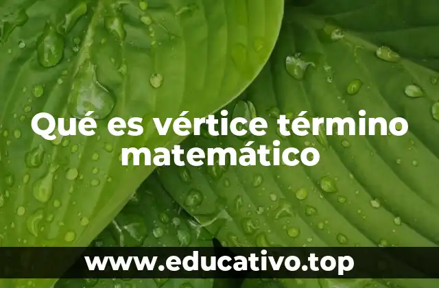 Qué es vértice término matemático