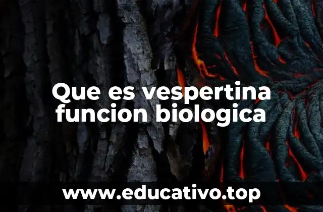 Que es vespertina funcion biologica