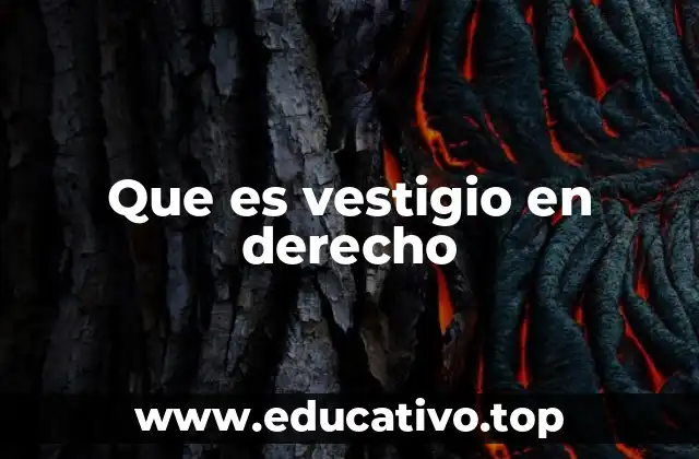 Que es vestigio en derecho
