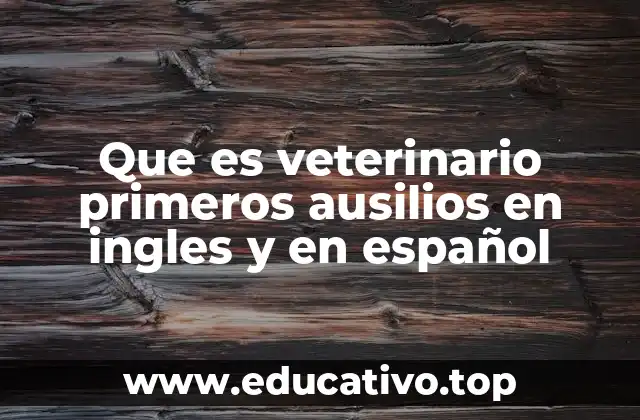 Que es veterinario primeros ausilios en ingles y en español
