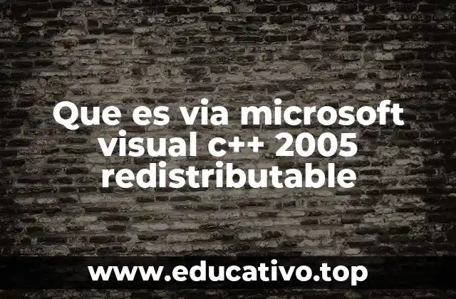 Importancia del Microsoft Visual C++ 2005 Redistributable en el ecosistema de desarrollo