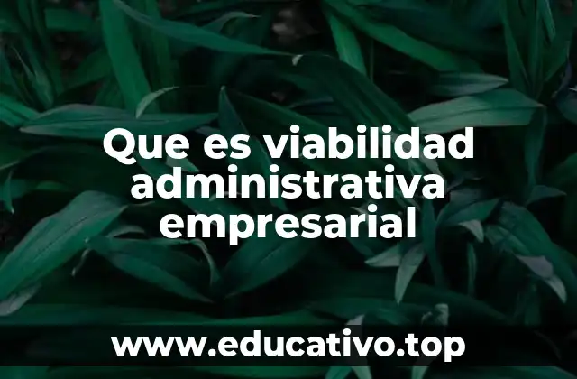 Que es viabilidad administrativa empresarial