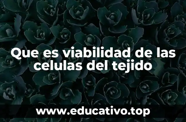 La importancia de mantener células viables en los tejidos