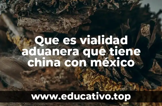 Que es vialidad aduanera que tiene china con méxico