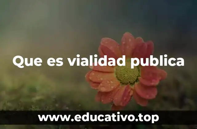 Que es vialidad publica