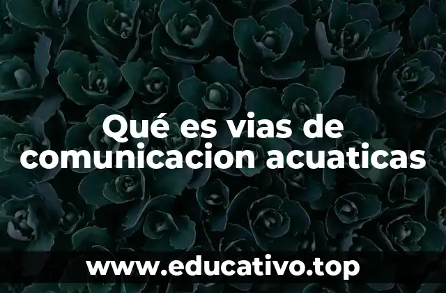 Qué es vias de comunicacion acuaticas