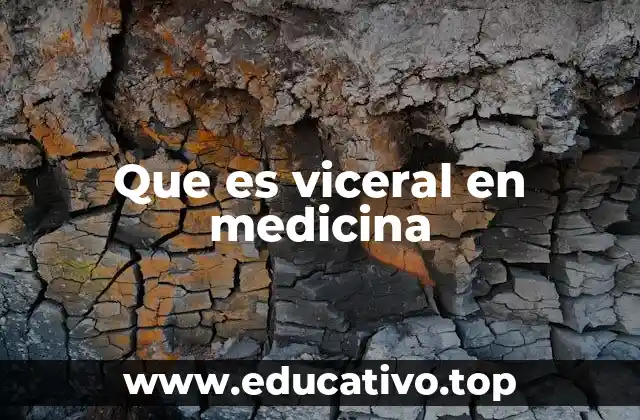 Que es viceral en medicina