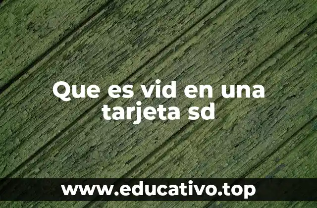 Que es vid en una tarjeta sd