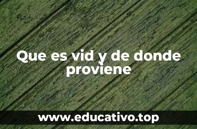 Que es vid y de donde proviene