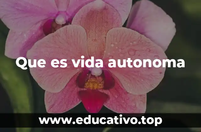 Que es vida autonoma