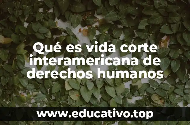 Qué es vida corte interamericana de derechos humanos