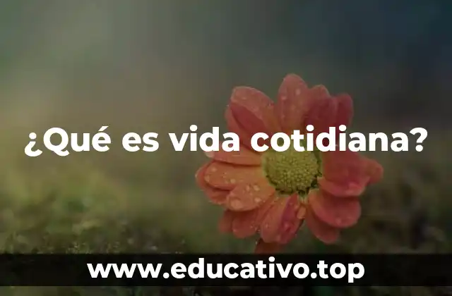 ¿Qué es vida cotidiana?