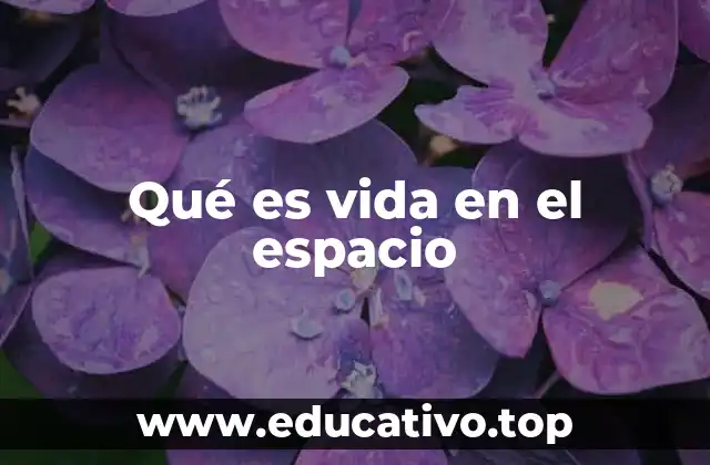 Qué es vida en el espacio