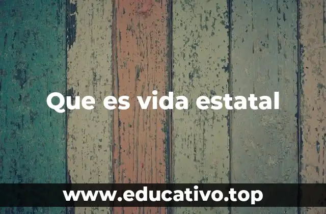 Que es vida estatal