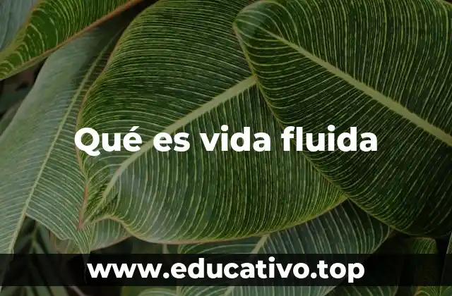 Qué es vida fluida