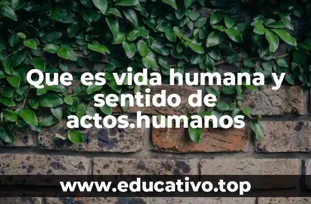 La conciencia y la libertad como pilares del ser humano