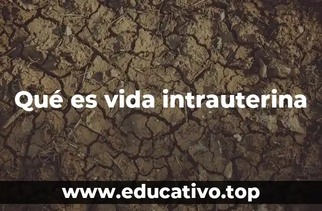 Qué es vida intrauterina