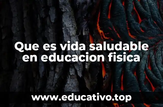 Que es vida saludable en educacion fisica
