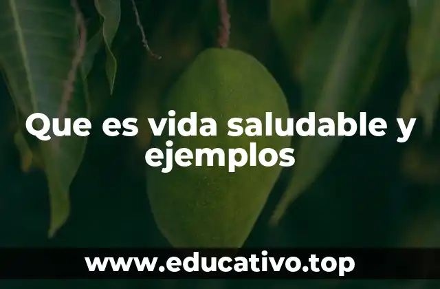 Que es vida saludable y ejemplos