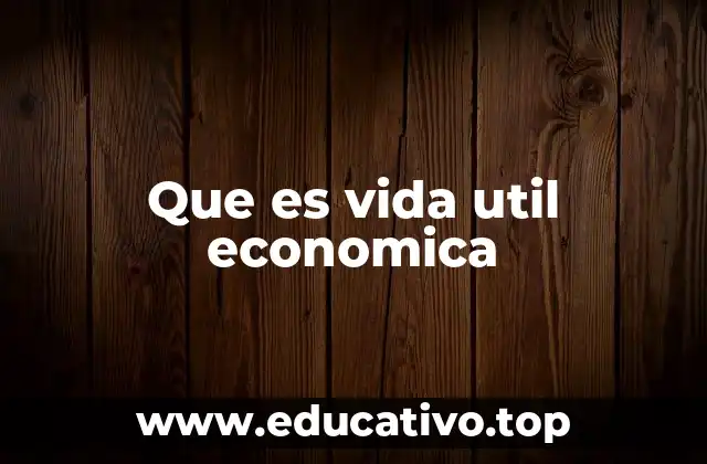 Que es vida util economica