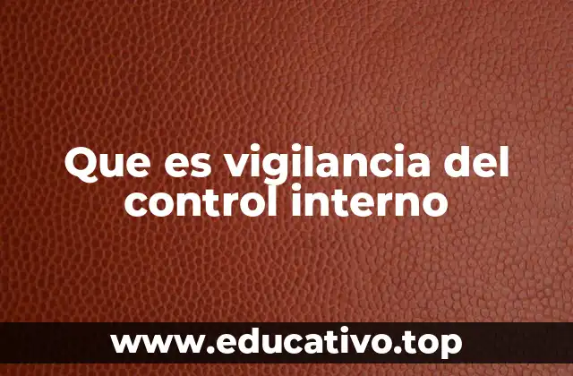 Que es vigilancia del control interno