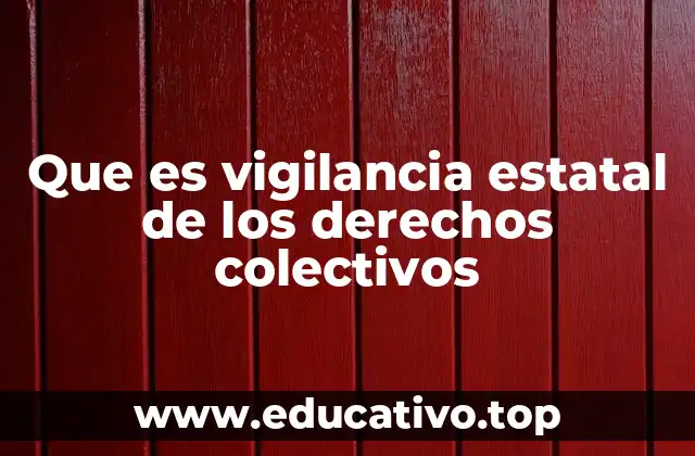Que es vigilancia estatal de los derechos colectivos