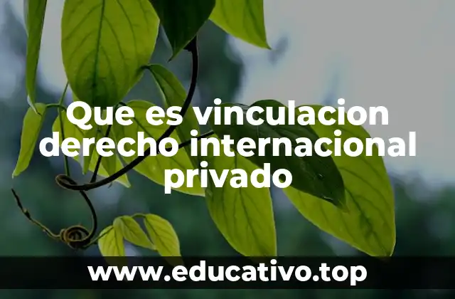 Que es vinculacion derecho internacional privado