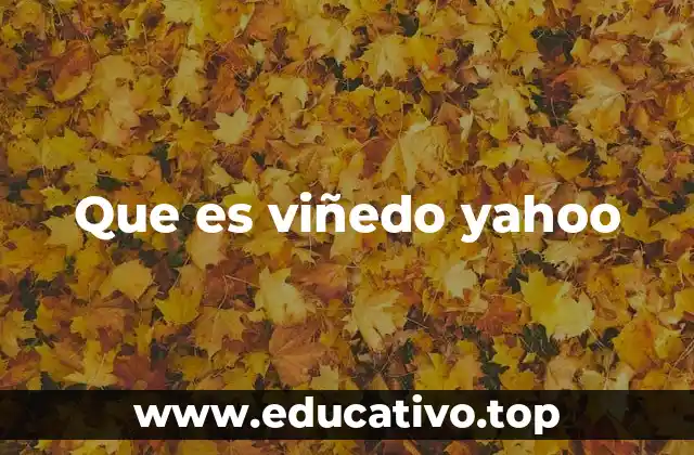 Que es viñedo yahoo