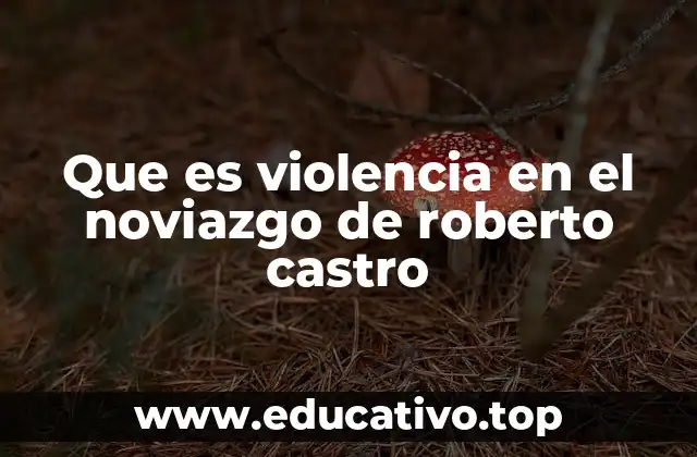 Que es violencia en el noviazgo de roberto castro