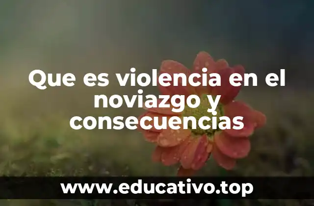 Que es violencia en el noviazgo y consecuencias