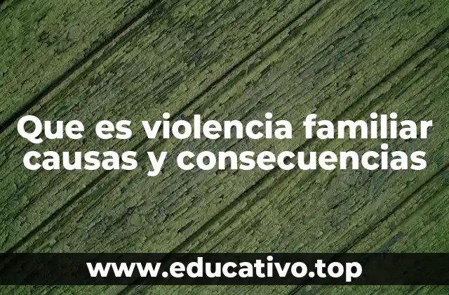 Que es violencia familiar causas y consecuencias