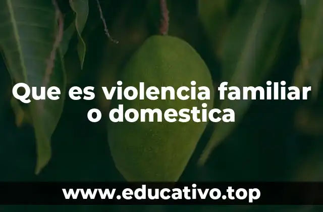 Que es violencia familiar o domestica