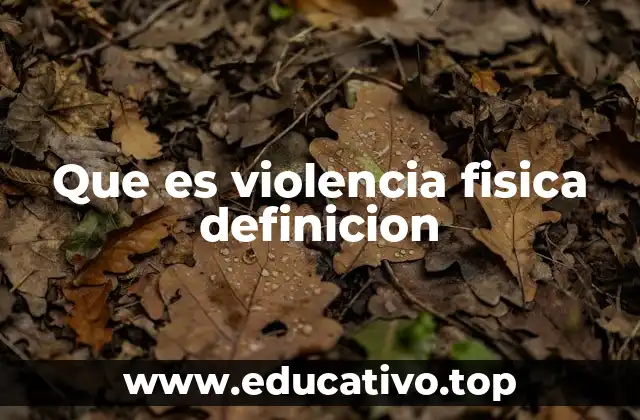 Que es violencia fisica definicion