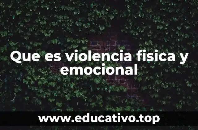 Que es violencia fisica y emocional