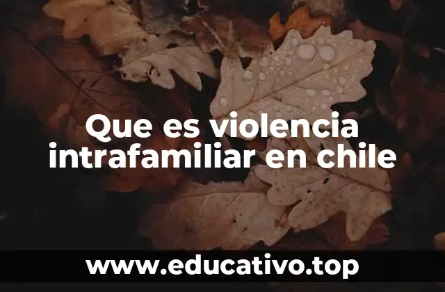 Que es violencia intrafamiliar en chile