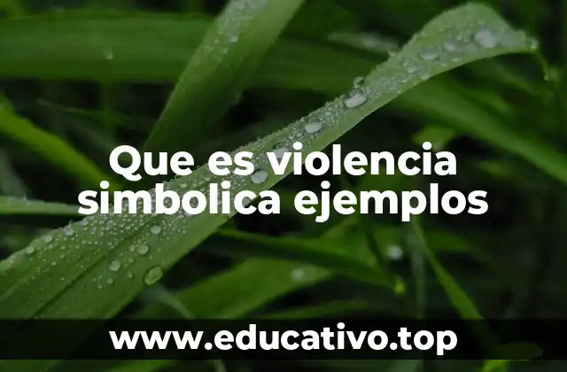 Que es violencia simbolica ejemplos