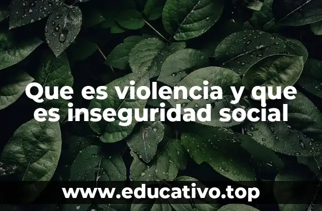 Que es violencia y que es inseguridad social