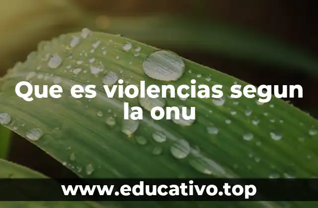 Que es violencias segun la onu