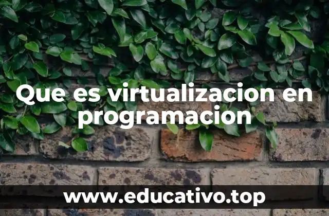 Que es virtualizacion en programacion