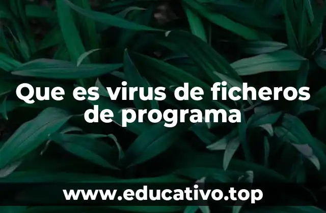 Que es virus de ficheros de programa