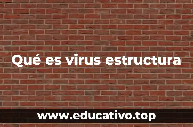 Características morfológicas y componentes básicos de los virus